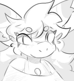 sketch sketch